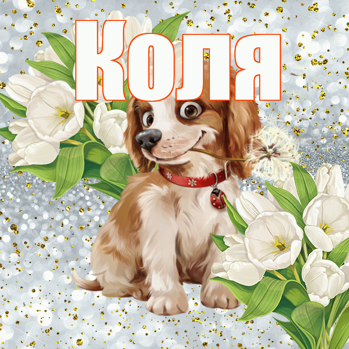 Коля! Хорошего настроения! Красивая открытка Коле!