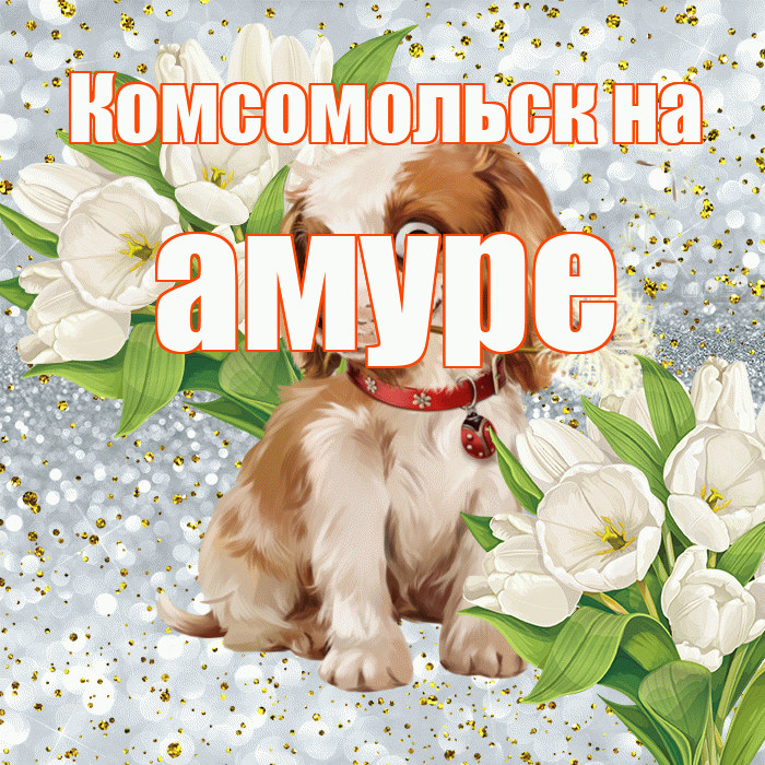 Комсомольск на амуре! Хорошего настроения! Красивая открытка !