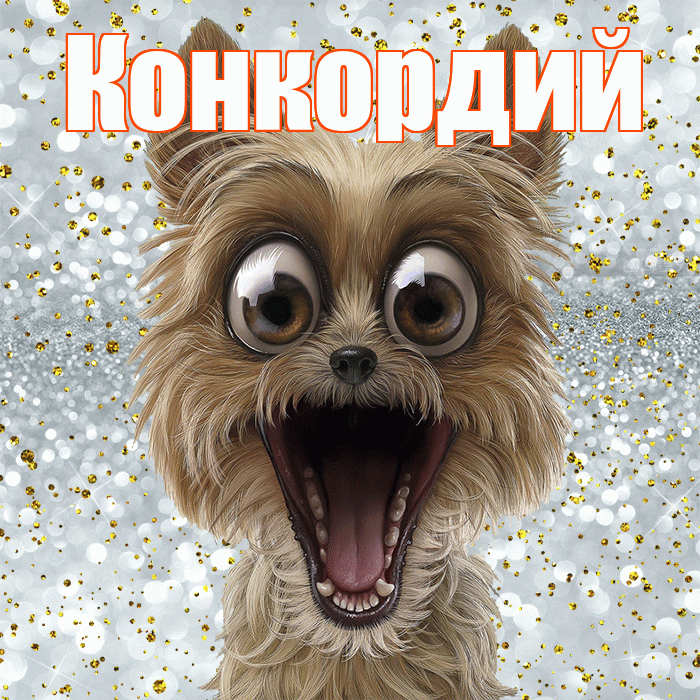 Конкордий! Хорошего настроения! Красивая открытка Конкордию!