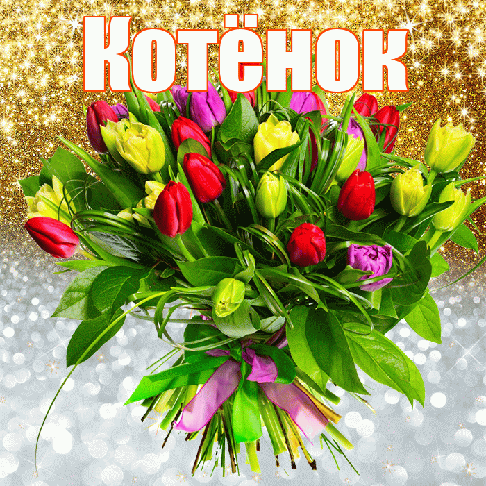 Котёнок! Хорошего настроения! Красивая открытка !
