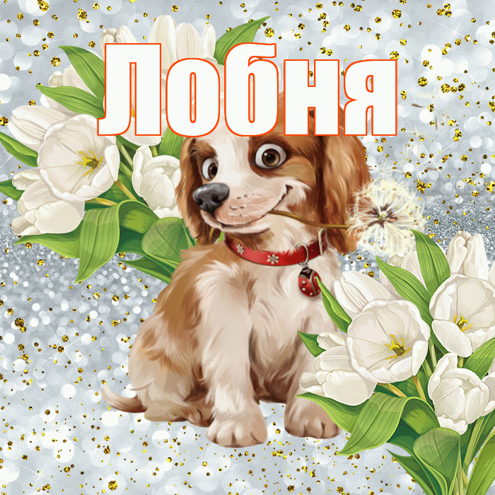 Лобня! Хорошего настроения! Красивая открытка Лобни!