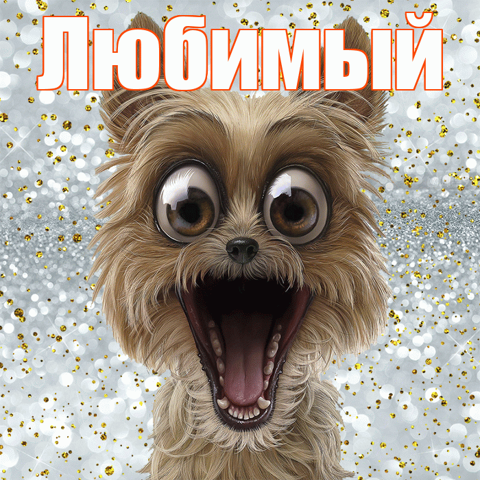 Любимый! Хорошего настроения! Красивая открытка Любимому!