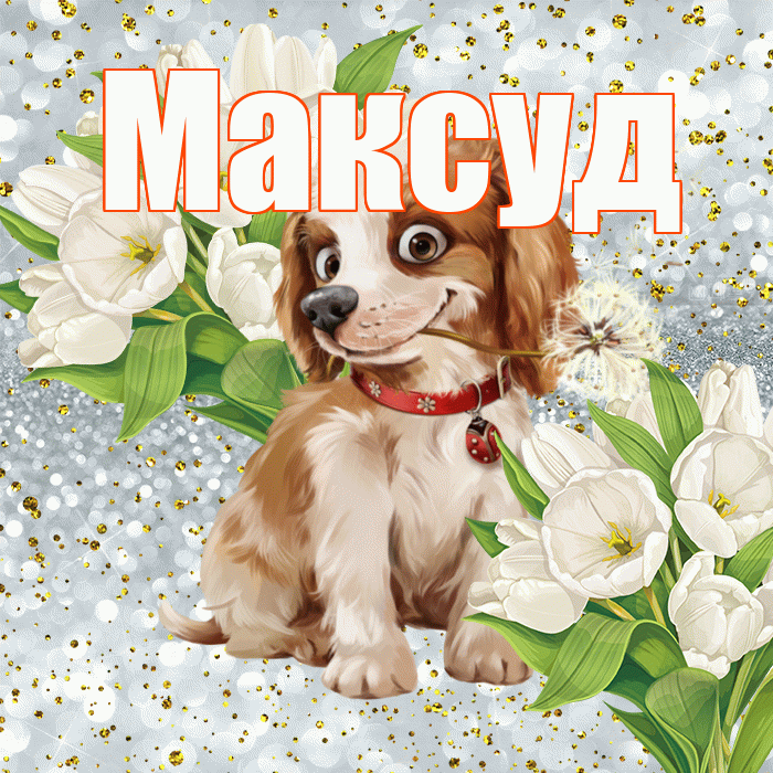 Максуд! Хорошего настроения! Красивая открытка Максуду!