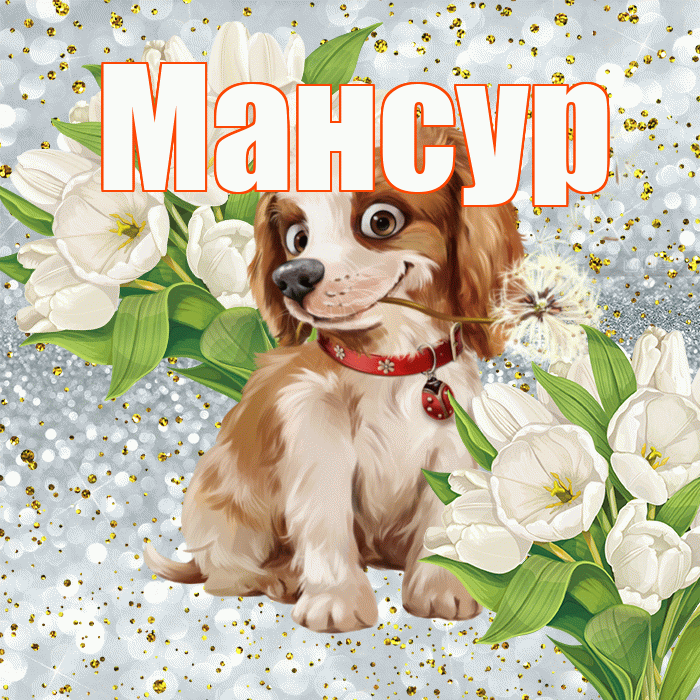 Мансур! Хорошего настроения! Красивая открытка Мансуру!