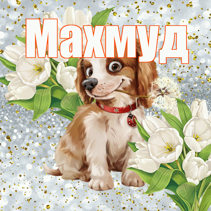 Махмуд! Хорошего настроения! Красивая открытка Махмуду!
