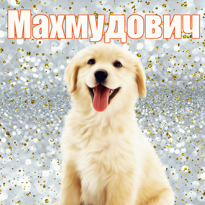 Махмудович! Хорошего настроения! Красивая открытка Махмудовичу!