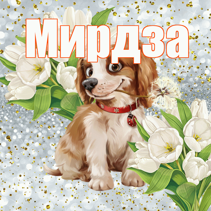 Мирдза! Хорошего настроения! Красивая открытка Мирдзой!