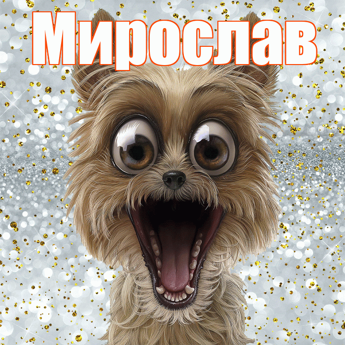Мирослав! Хорошего настроения! Красивая открытка Мирославу!