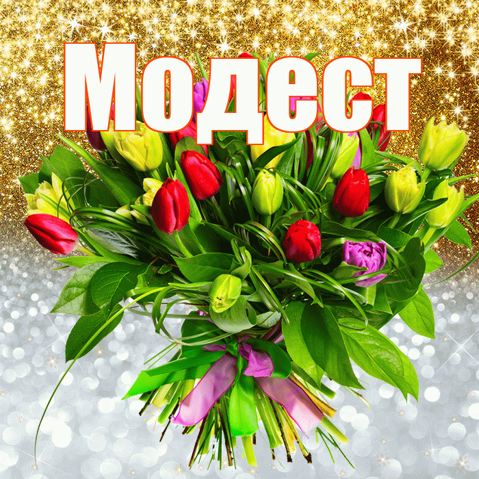 Модест! Хорошего настроения! Красивая открытка Модесту!