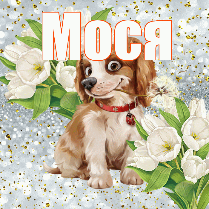 Мося! Хорошего настроения! Красивая открытка !