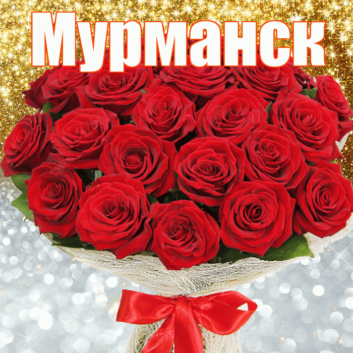 Мурманск! Хорошего настроения! Красивая открытка Мурманску!
