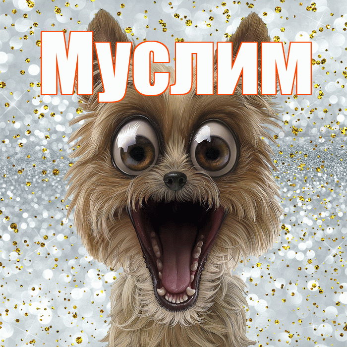 Муслим! Хорошего настроения! Красивая открытка Муслиму!