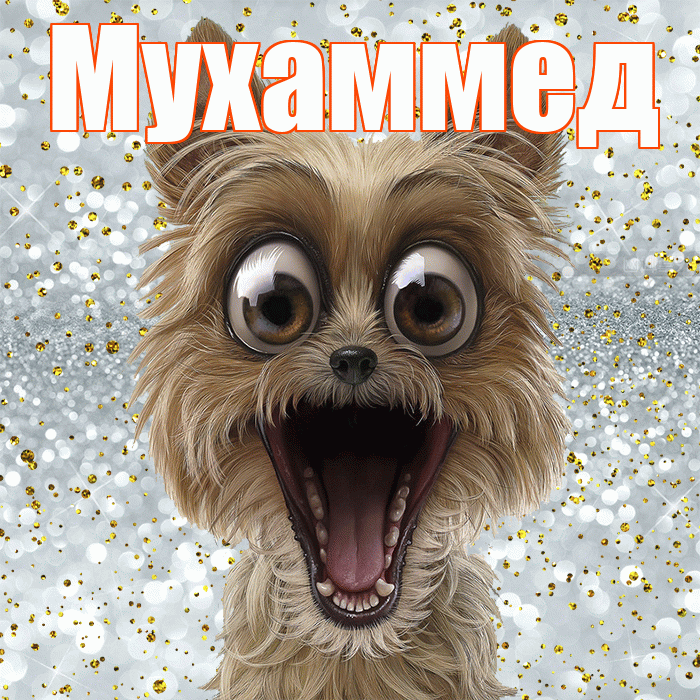 Мухаммед! Хорошего настроения! Красивая открытка Мухаммеду!