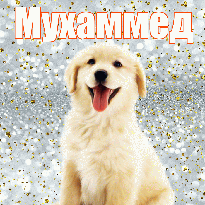 Мухаммед! Хорошего настроения! Красивая открытка Мухаммеду!