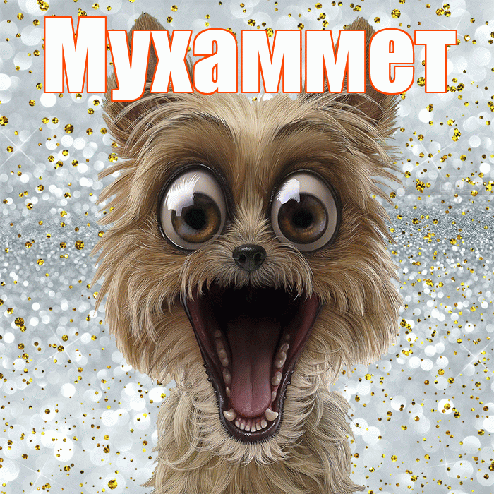Мухаммет! Хорошего настроения! Красивая открытка Мухаммету!