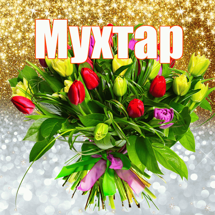 Мухтар! Хорошего настроения! Красивая открытка Мухтару!