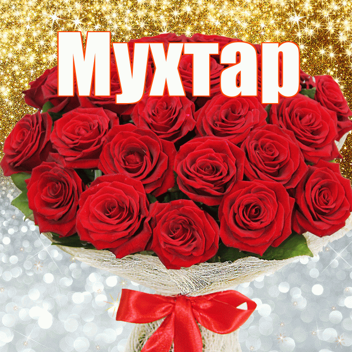 Мухтар! Хорошего настроения! Красивая открытка Мухтару!