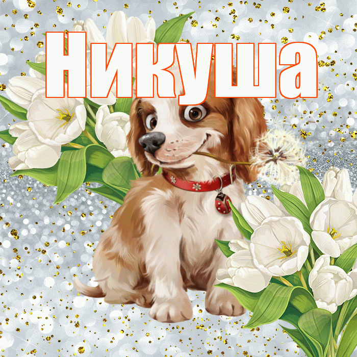 Никуша! Хорошего настроения! Красивая открытка !