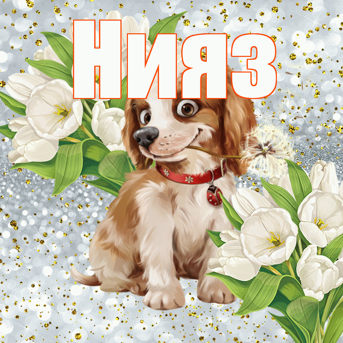 Нияз! Хорошего настроения! Красивая открытка Ниязу!