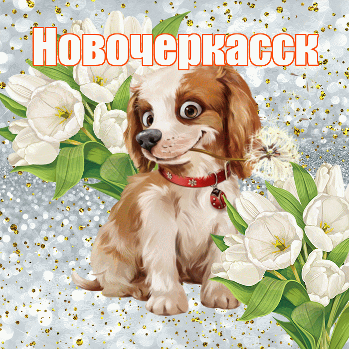 Новочеркасск! Хорошего настроения! Красивая открытка Новочеркасску!