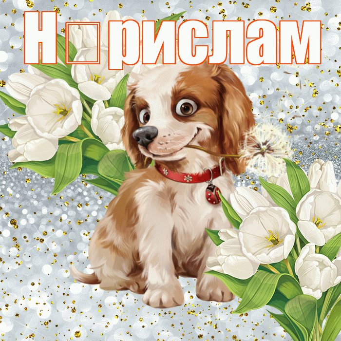 Н рислам! Хорошего настроения! Красивая открытка !