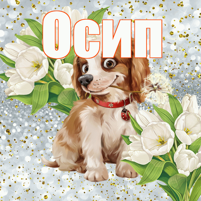 Осип! Хорошего настроения! Красивая открытка Осипу!