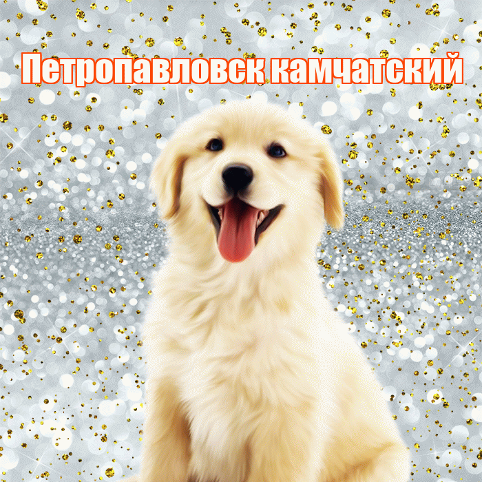 Петропавловск камчатский! Хорошего настроения! Красивая открытка Петропавловску!