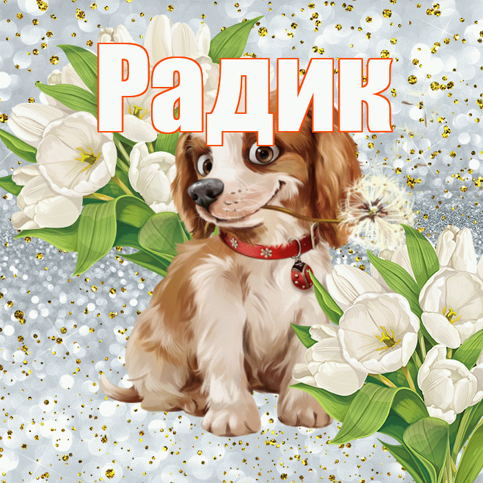 Радик! Хорошего настроения! Красивая открытка !