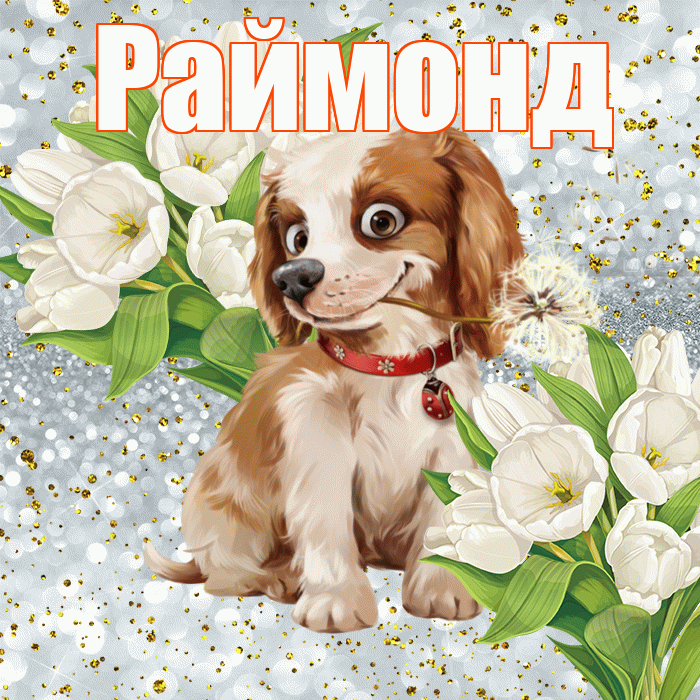 Раймонд! Хорошего настроения! Красивая открытка Раймонду!