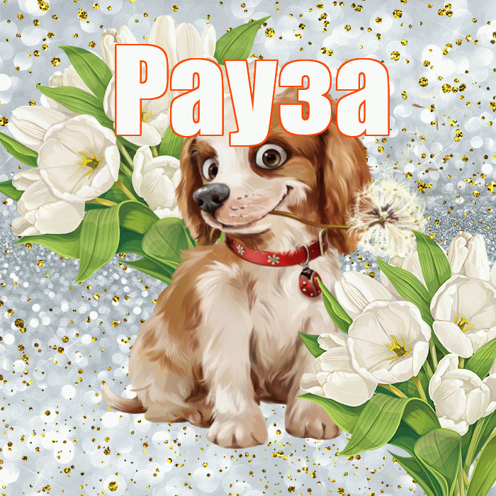 Рауза! Хорошего настроения! Красивая открытка Раузе!