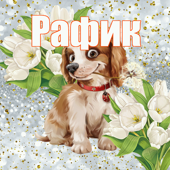 Рафик! Хорошего настроения! Красивая открытка Рафику!