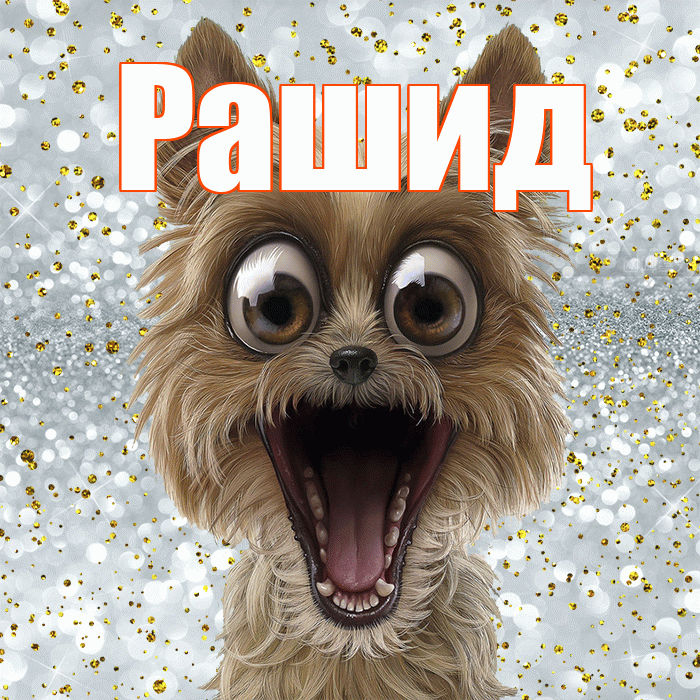 Рашид! Хорошего настроения! Красивая открытка Рашиду!