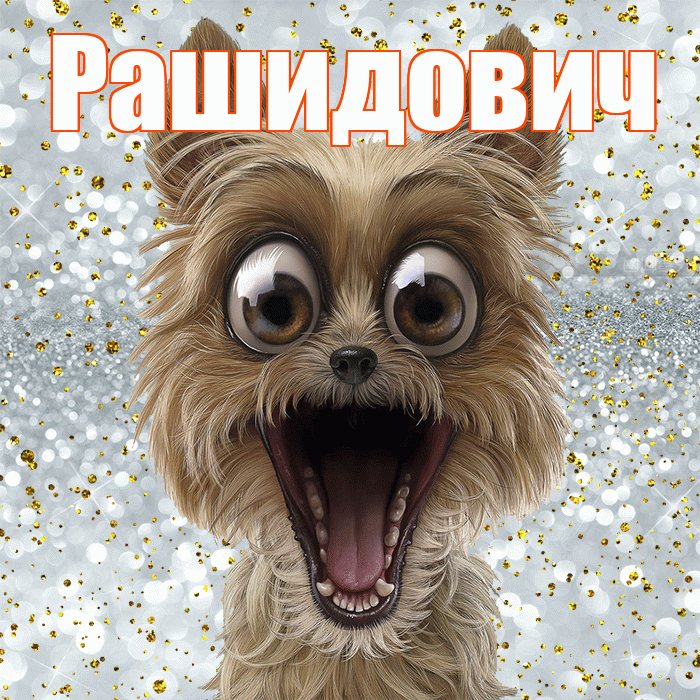 Рашидович! Хорошего настроения! Красивая открытка Рашидовичу!