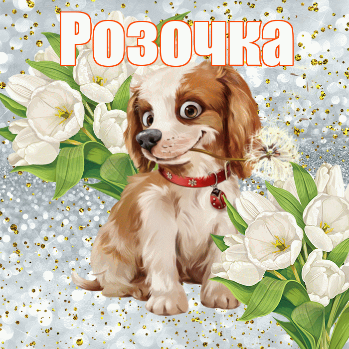 Розочка! Хорошего настроения! Красивая открытка !