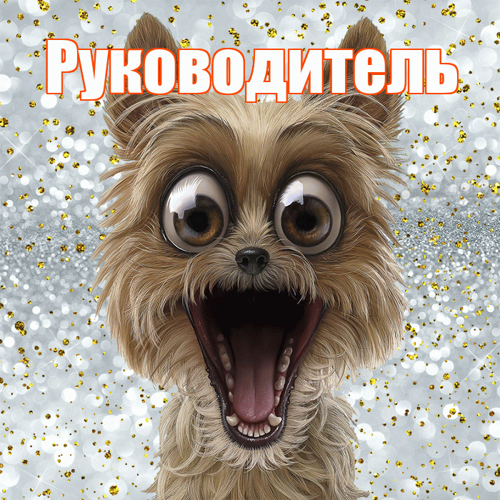 Руководитель! Хорошего настроения! Красивая открытка Руководителю!