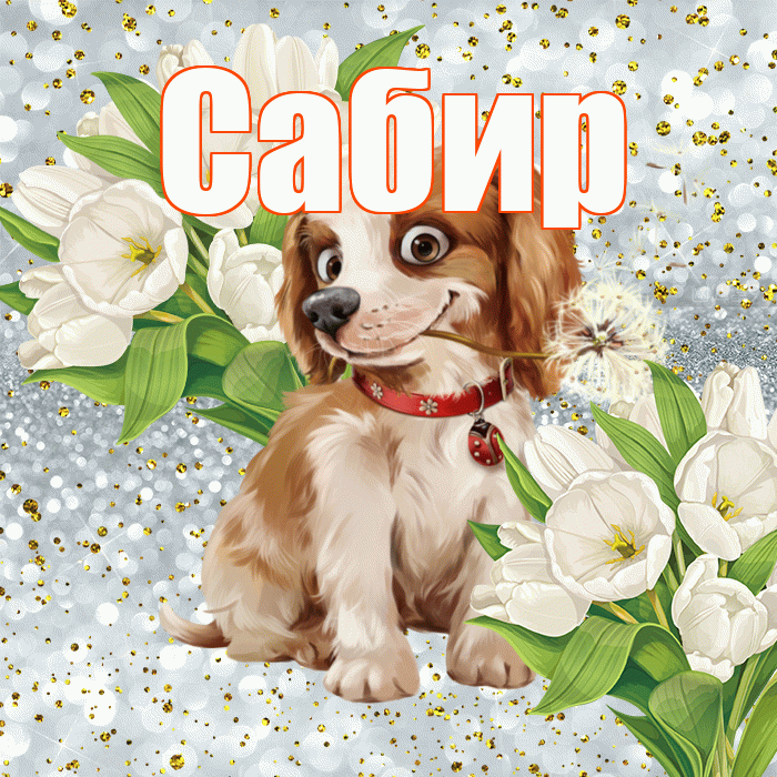 Сабир! Хорошего настроения! Красивая открытка Сабиру!