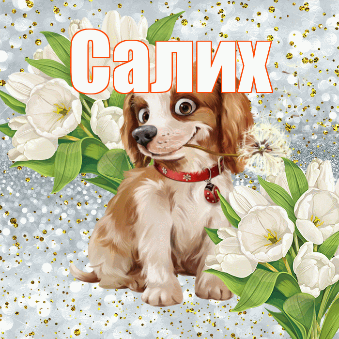 Салих! Хорошего настроения! Красивая открытка Салиху!