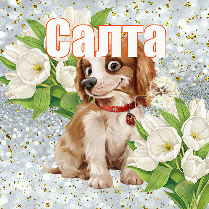 Салта! Хорошего настроения! Красивая открытка !