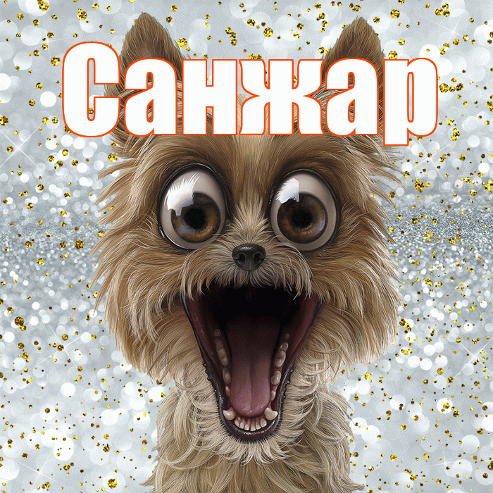 Санжар! Хорошего настроения! Красивая открытка Санжару!