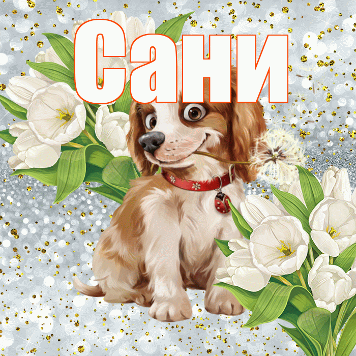Сани! Хорошего настроения! Красивая открытка !