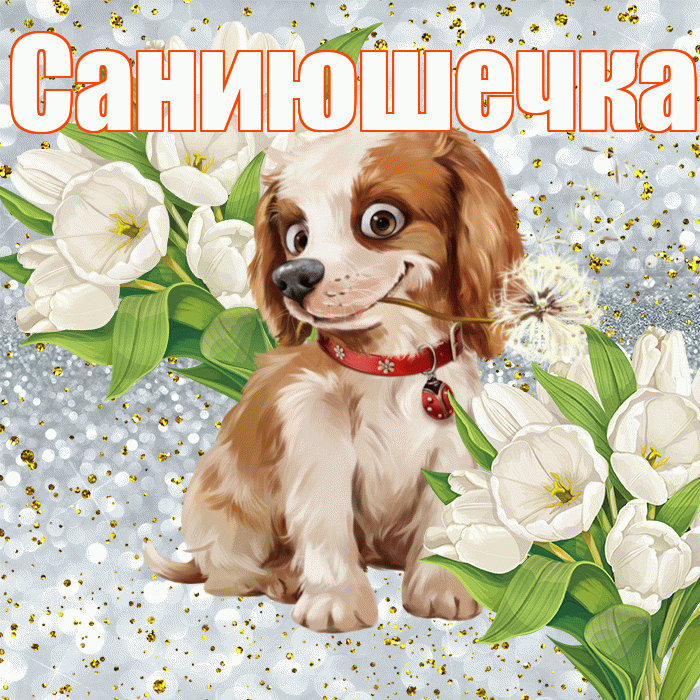 Саниюшечка! Хорошего настроения! Красивая открытка !
