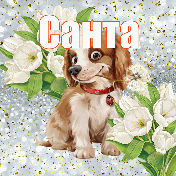 Санта! Хорошего настроения! Красивая открытка Санту!