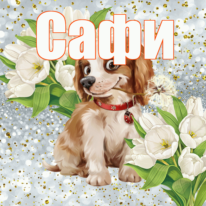 Сафи! Хорошего настроения! Красивая открытка !