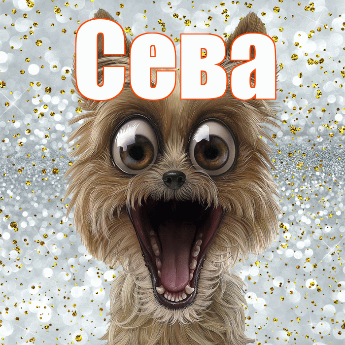 Сева! Хорошего настроения! Красивая открытка Севовне!