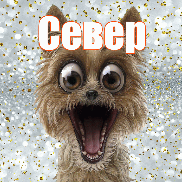 Север! Хорошего настроения! Красивая открытка Северу!