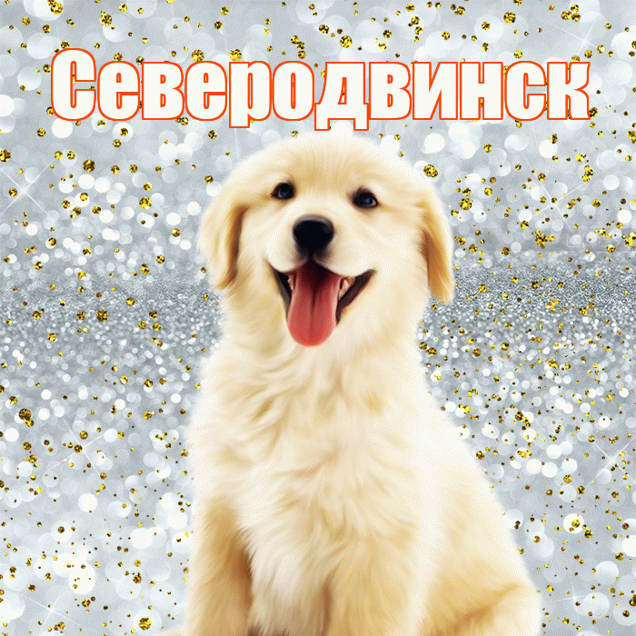 Северодвинск! Хорошего настроения! Красивая открытка Северодвинску!