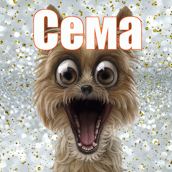 Сема! Хорошего настроения! Красивая открытка Сёму!