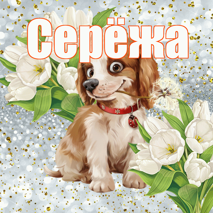 Серёжа! Хорошего настроения! Красивая открытка !