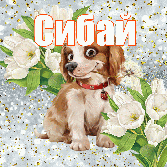 Сибай! Хорошего настроения! Красивая открытка Сибаю!