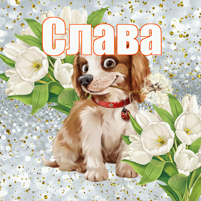 Слава! Хорошего настроения! Красивая открытка Славе!